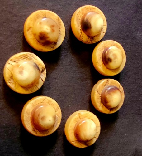 Corno antico celluloide - antico?,