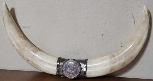 Ornamento scrivania corno - , di